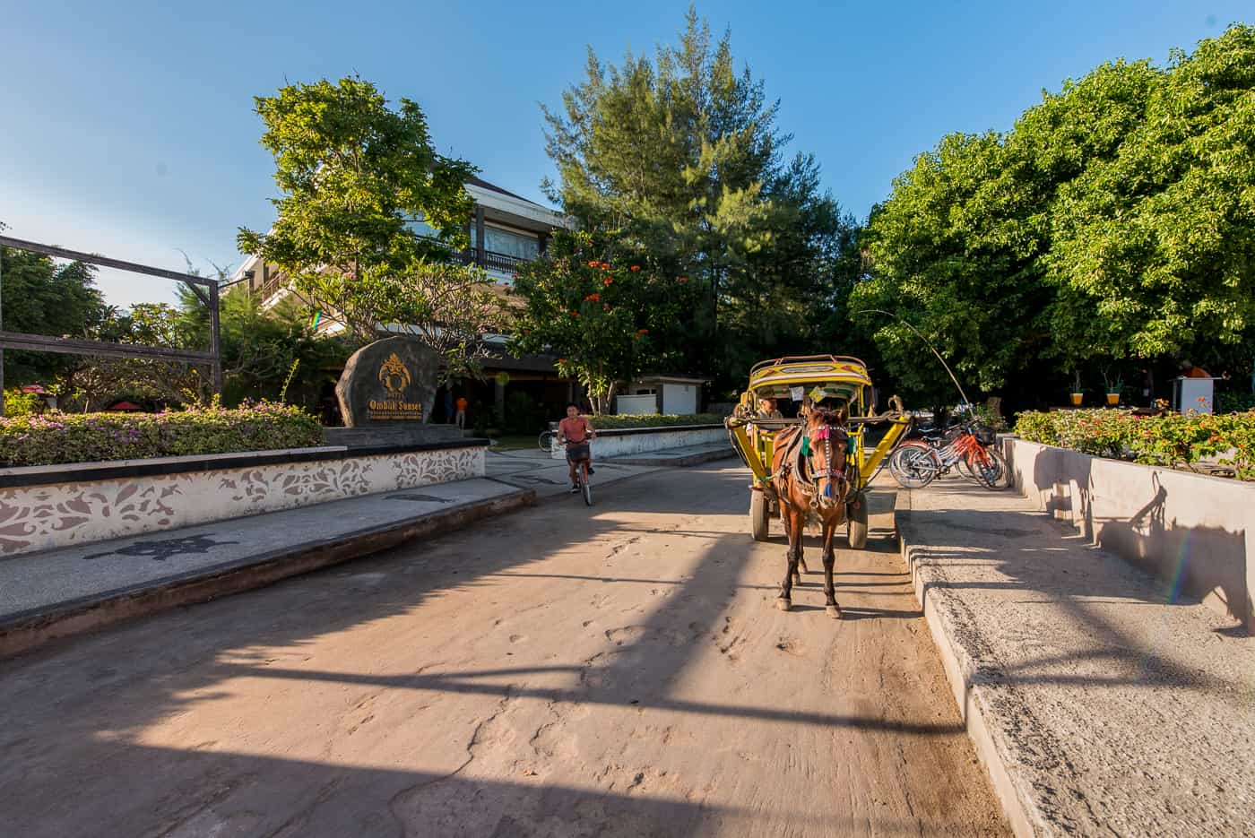 Cidomo horse cart transportation